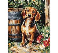 AMBATTERY Tapestry Kits for Adults Cartoon Dachshund Animal Crochet Kit for Beginners Adults,DIY Rug Making Kits with Printed Canvas Latch Hook Cushion Set Rugs 21x29in