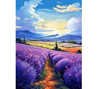 AMBATTERY Tapestry Kits For Adults Lavender Field Large Latch Hook Rug，Pre-Printed Pattern Canvas Rug Embroidery Crafts For Adults Handicrafts Diy Rug 23x35in