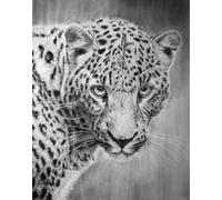AMBATTERY Tapestry Kits For Adults Leopard Sketch Portrait Printed Canvas Tapestry Kits Embroidery Kits Diy Crochet Yarn Kits For Beginners Adults Craft Kit 31x45in