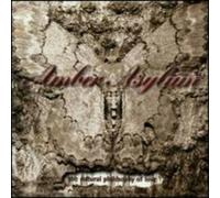 Amber Asylum - Natural Philosophy of Love