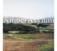 Amber Asylum - The Supernatural Parlour Collection