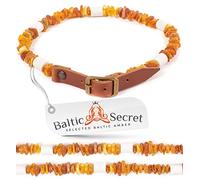 Amber Dog Collar with EM Ceramic Pipes - Natural Accessory for Dogs and Cats - Distinctive Raw Amber Beads
