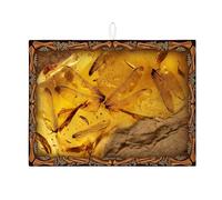 Amber Dragonfly Dish Drying Mats, Vintage Rustic Absorbent Dish Rack Mat, Autumn Nature Microfiber Drying Pad for Kitchen Counter Protector 18x24 Inch