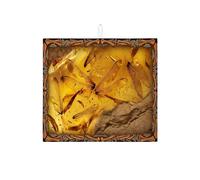 Amber Dragonfly Dish Drying Mats, Vintage Rustic Absorbent Dish Rack Mat, Autumn Nature Microfiber Drying Pad for Kitchen Counter Protector 16x18 Inch
