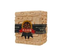 Amber Insect Dig Kit for Kids, Science Excavation Kits with Fossil Specimens and Hidden Treasures, STEM Archaeology Science Experiments Educational Toys for Boys and Girls Handcraft Discovery