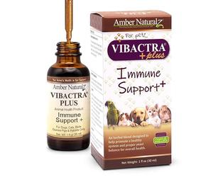 Amber NaturalZ Vibactra Plus Herbal Supplement for Dogs, Cats, Birds, Guinea Pigs, and Rabbits | Herbs for Immune Health and Yeast Balance | 1 Fluid Ounce Glass Bottle | Manufactured in The USA