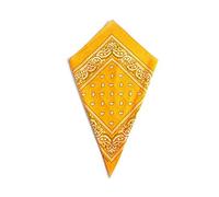 Amber Paisley Bandana Head Scarf Headbands Handkerchief Cowboy Cotton Bib Party Face Covering Headwear For Motorcycling Mens Womens Unisex