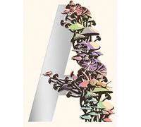 Ambergris: City of Saints and Madmen; Shriek: An Afterw - Hardback NEW Vandermee