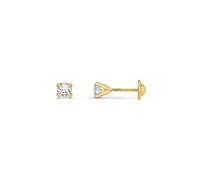 Amberta Allure Women 9 Ct Yellow Gold Cubic Zirconia Stud Earrings