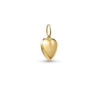 Amberta Allure Women 9ct Gold Pendant: 9ct Gold Heart Pendant