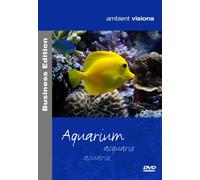 ambient visions Aquarium Business Edition