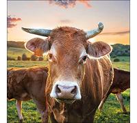 Ambiente - 13317525 - Paper napkins, lunch napkins, 20 pieces, cow, 33 cm x 33 cm, 3-ply