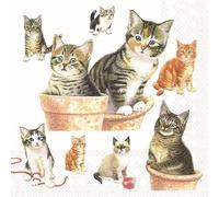 AMBIENTE 20 Napkins Animal Motifs Many Cute Cats as Table Decoration Paper Napkins with Motif Also for Decoupage and Decoupage 33 x 33 cm