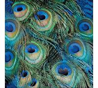 Ambiente 3 Ply Paper Napkins Peacock Feathers