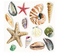 Ambiente 33cm 3-Ply Paper Napkins 20pcs - Shells
