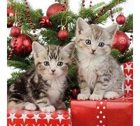 Ambiente Christmas Napkin 33 Centimeter Pack of 20 Christmas Kitten