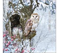 Ambiente Christmas Napkin 33 Centimetre Pack of 20 Barn Owl