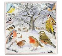 Ambiente Christmas Napkin 33 Centimetre Pack of 20 Bird Meeting