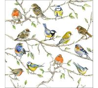 Ambiente Napkins Bird Meeting 33 Centimetre Pack of 20