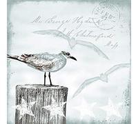 Ambiente Napkins Motif : Seagulls - Seagull , maritime 20 napkins per package, 33x33 cm