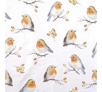 Ambiente Napkins Robin Family 25 cm Paper Napkins Mouth Cloths Paper Napkins Mouth Cloths Bird Motif Robin 3-Ply Paper