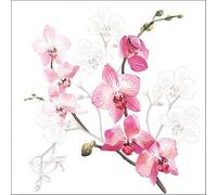 Ambiente - Paper napkins - orchid / orchid 33 x 33 cm