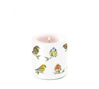 Ambiente Pillar Candle Wax Wind Light 9 cm High Burning Time Approx. 35 Hours Bird Species Birds Decoration Candle Series Bird Species