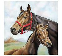 Ambiente Serviette Lunch 33 x 33 cm Horse Love Design 20 Pieces per Pack