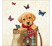 Ambiente Serviette Lunch 33 x 33 cm Motif: Buddy Puppy Labrador Golden Retriever 20 Pieces per Pack