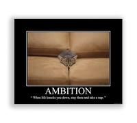 Ambition Demotivational Poster Snarky Ironic Funny Sarcastic Office Wall Decor Art Print 11x14 Inches Unframed