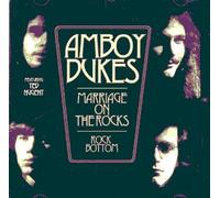 Amboy Dukes - Marriage On The Rocks / Rock Bottom