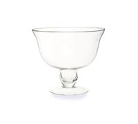 Ambra Clear Glass Tulip Bowl