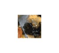 AMBROSE AKINMUSIRE: HONEY FROM A WINTER STONE - CD