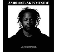Ambrose Akinmusire - on the tender spot of every calloused moment