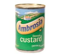 Ambrosia Devon Custard 12x425g
