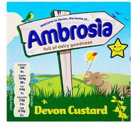 Ambrosia Devon Custard 500 g (Pack of 12)