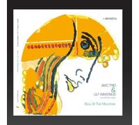 AMC Trio, Ulf Wakenius - Soul of the Mountain