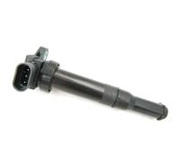 AMCBYSGC Car Ignition Coils Coil Compatible with Hyundai Sonata, EF