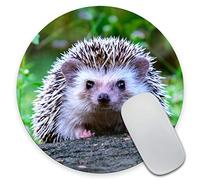 Amcove Dwraf Hedgehog on Stump Customized Round Non-Slip Rubber Mousepad Gaming Mouse Pad 7.9"X7.9" inch