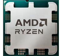 AMD Ryzen 5 5500F processor 3 GHz 19 MB L2 & L3 Tray