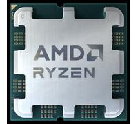 AMD Ryzen 5 8500G processor 3.5 GHz 16 MB L3 Tray