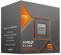 AMD Ryzen 5 8600G processor 4.3 GHz 16 MB L3 Box