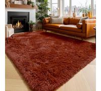 Amdrebio Terracotta Rust Shag Area Rug 5x8 for Living Room Bedroom Nursery | Furry Fuzzy Fluffy Kids Carpet, Classroom Dorm Playroom Decor, Rustic Southwestern Vintage Aesthetic, Baby Toddler Corner