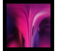 Ame - Dream House [VINYL]