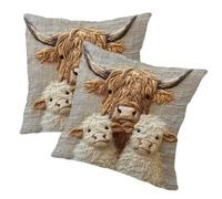 Ameble 2Pcs Throw Pillow Covers 18x18 Short Plush, Decorative Square Cushion for Sofa Couch Bed Farmhouse Vintage Country Art
