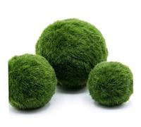 Ameble Live Marimo Moss Balls 3PCS for Aquarium Fish Tank & Terrarium Decor, Assorted Sizes 2.4-4cm, Natural Moss Ball Plant for Home Aquarium Decoration