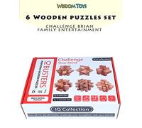 Ameego Set of 6 Classic Wooden Puzzles - Beech Wooden Brain 3D IQ Puzzle Games Collection for Children Adults