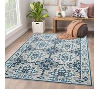 AMEHA Area Rugs for Bedroom - Vintage Rugs Living Room 120 x 170 Cm Modern Carpet - Traditional Design Non Shedding Super Soft Large Rug - Easy Care (Luna)