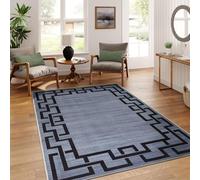 AMEHA Area Rugs Living Room - Grey Rug for Bedroom Greek Key Style Modern Carpet Super Soft Non Shedding Classic Rug Easy to Clean (60 x 110Cm, Nico)