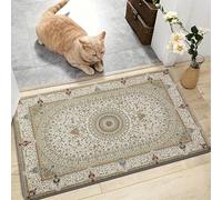 AMEHA Door Mat 60 x 110 cm Dirt Trapper Machine Washable Door matts Indoor Outdoor Heavy Duty Low Pile Non Slip Doormats Entrance Welcome Floor Mats Super Absorbent Front doormat (Willow Beige)